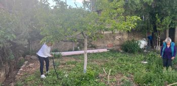 443819627 122148971126232063 n